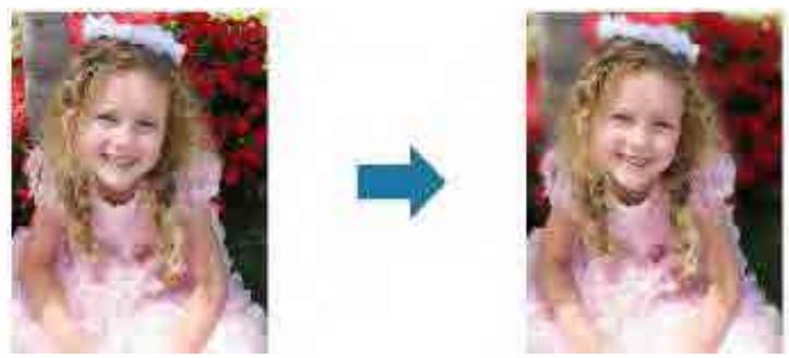 CANON MG2555C - Rendre flou l'arrière-plan - 1