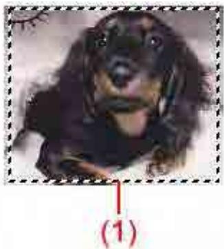 CANON MG2555C - Types de cadres de découpe - 1