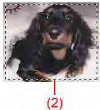 CANON MG2555C - Types de cadres de découpe - 2