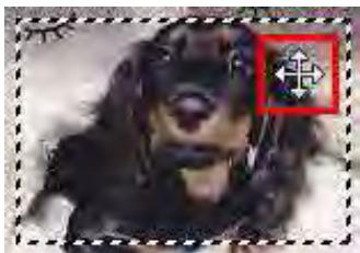 CANON MG2555C - Ajustement d'un cadre de découpe - 3