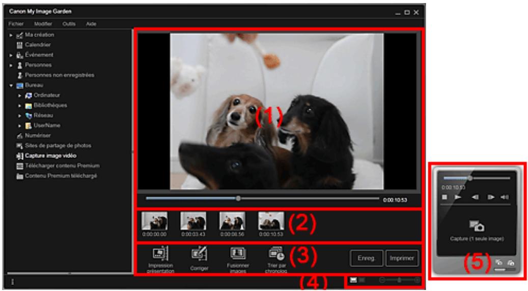CANON MG2555C - Important - 1