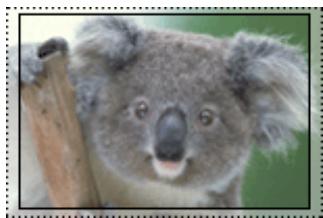 CANON MG2555C - Taux d'extension - 3