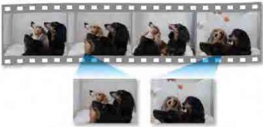 CANON MG2555C - Capturer et imprimer des images fixes à partir deVIDEOS - 1