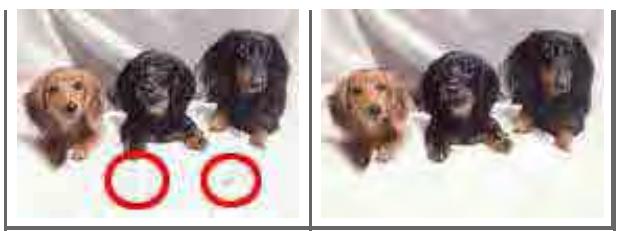 CANON MG2555C - Réduction de la poussière et des imperfections - 1