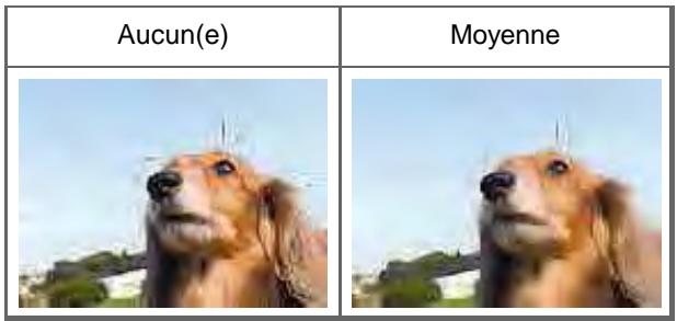 CANON MG2555C - Réduction de l'aspect granuleux - 1