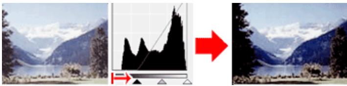 CANON MG2555C - Images contenant davantage de données dans la zone de lumière - 1