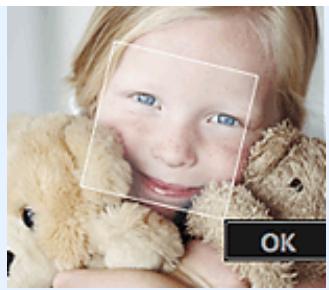 CANON MG2555C - Remarque - 1