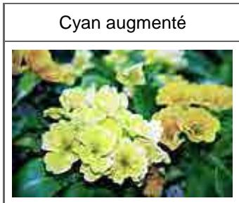 CANON MG2555C - Équilibre des couleurs - 2