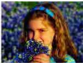 CANON MG2555C - Affineur de visage - 3