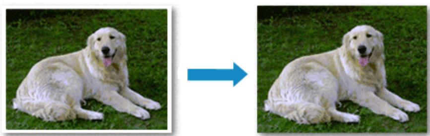 CANON MG2555C - Exécution d'une impression sans bordure - 1