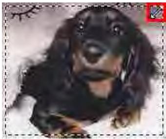 CANON MG2555C - Ajustement d'un cadre de découpe - 1