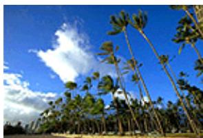 CANON MG2555C - Réglage de l'intensité - 1