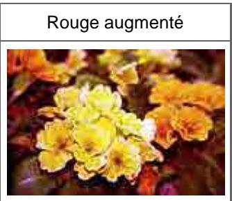 CANON MG2555C - Équilibre des couleurs - 3