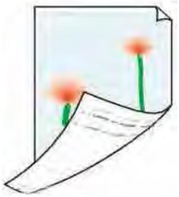 CANON MG2555C - Le versus du papier est taché - 1