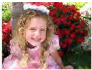 CANON MG2555C - Utilisation de la correction automatique des photos - 3