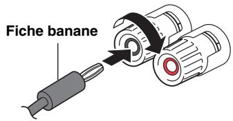 YAMAHA R-NSOSD - Raccordement avec fiche banane (modèles pour l'Amérique du Nord, l'Australie et modèle général uniquement) - 1