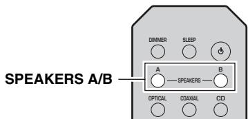 YAMAHA R-NSOSD - Note - 2