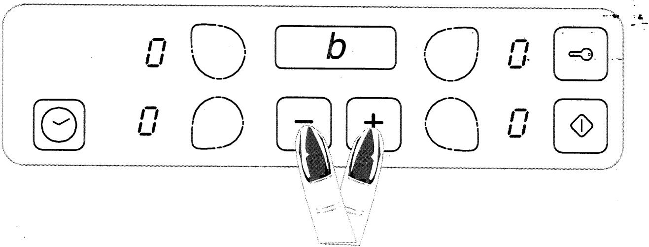 SCHOLTES TI 754 A Anthracite - EXTINCTION - 2