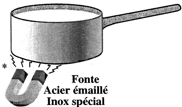 SCHOLTES TI 754 A Anthracite - Récipients à utiliser - 1