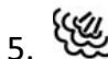 PROLINE EXP1E01 - DESCRIPTION - 3