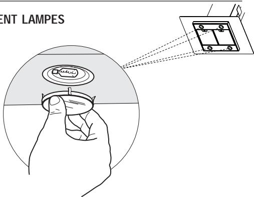 ROBLIN LAGOON2 - 900S - - Lampe halogène de 20 W. - 1