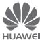 HUAWEI P10 LITE + SMARTBAND - Informations relatives aux accessoires et logiciels - 1