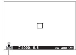 FUJIFILM RiT X-A5+15-45MM - L'indicateur de mise au point - 1