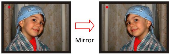 ROLLEI DF-S 100 SEC - Capture: Mirror/Flip (Hard Key) - 2