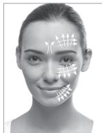 SILK REV10E1001 - Utilisation prévue de Revit™ - 1