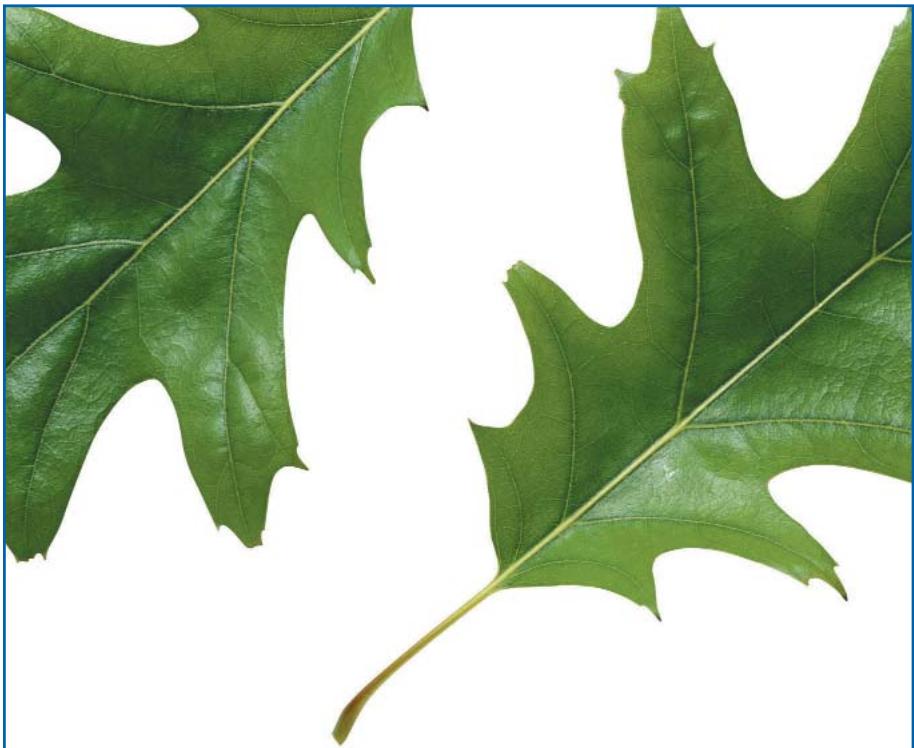 FAGOR I-200TR - AVERTISSEMENTS CONCERNANT L'ENVIRONNEMENT - 1