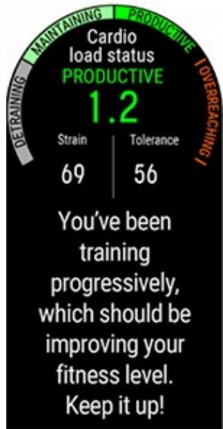 POLAR MONTRE CONNECTEE VANATGE M NOIR GPS MULTISPORT - Statut de charge cardiaque - 2