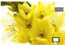 CANON 800D - Agrandissez I-image. - 1