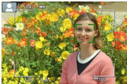 CANON 800D - Affichez l'image de Visée par l'écran sur l'écran LCD. - 1