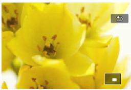 CANON 800D - Parcourez l'image. - 1