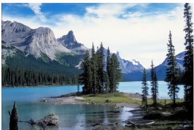 CANON 800D - Conseils de prise de vue - 4