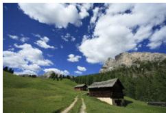 CANON 800D - Sélectionnez une image. - 1