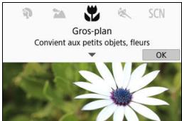 CANON 800D - Sélectionnez [Activé]. - 1