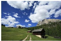 CANON 800D - Image captured - 1