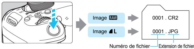 CANON 800D - RAW+ L - 1