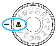 CANON 800D - Conseils de prise de vue - 2