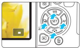 CANON 800D - Agrandissez I-image. - 2