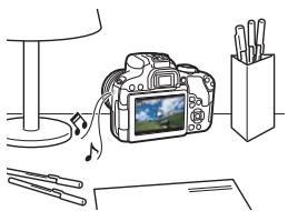 CANON 800D - Visionnage sur l'écran LCD de l'appareil photo (p. 350-356) - 1
