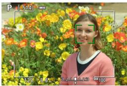 CANON 800D - Affichez l'image de Visée par l'écran. - 1