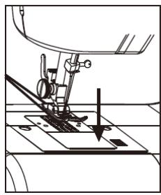 THOMSON CREATION TH20SW - Tirez la boucle du fil de la canette au-dessus des griffes d'entrainment. - 4