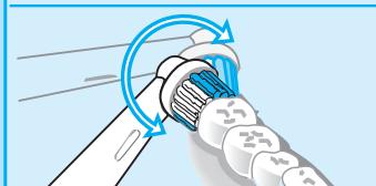 ORAL-B OC 16.525 - Technique de brossage - 3