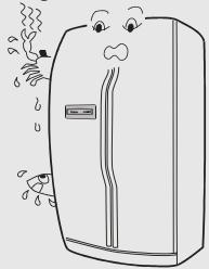 HAIER HRF-660AA - Remarques sur la congélation - 6