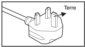OPTOMAR HD36 - Notes sur le cordon d'alimentation secteur - 4