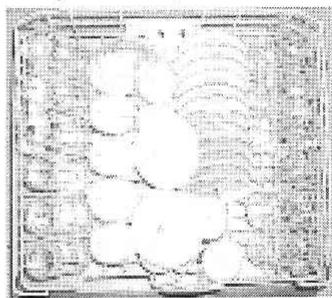 INDESIT D65 - Quelques examples de chargement - 2