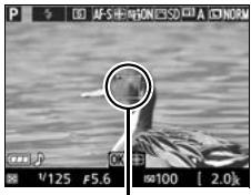 NIKON D3300+18-105VR+FT+86 - (AF suivi du sujet): - 2