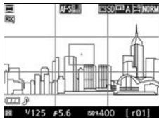 NIKON D3300+18-105VR+FT+86 - Effectuez la mise au point. - 2